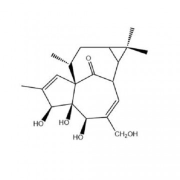 20-deoxyingenol