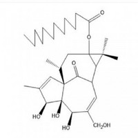 13-Oxyingenol dodecanoat