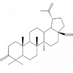 Betulonic acid