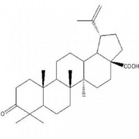 Betulonic acid