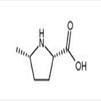 (2S,5S)-5-methylpyrrolidine-2-carboxylic acid