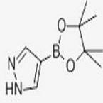 1H-PYRAZOLE-4-BORONIC ACID PINACOL ESTER