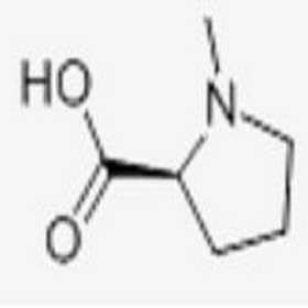 N-METHYL-L-PROLINE MONOHYDRATE