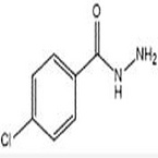 4-CHLOROBENZHYDRAZIDE