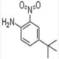 4-Tert-Butyl-2-nitroaniline