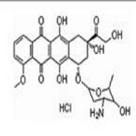 Doxorubicin Hydrochloride