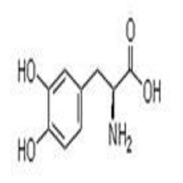 Oxiracetam (S)