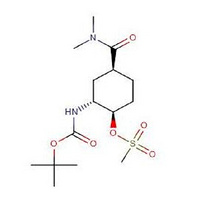 (1R,2R,4S)-2-[(tert-butoxycarbonyl)amino]-4-[(dimethylamino)carbonyl]cyclohexyl methanesulfonate