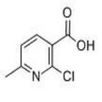2-Chlroro-6-Methylnicotinic Acid