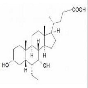 Obeticholic Acid