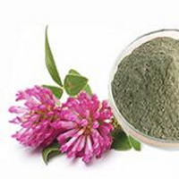 Red Clover Extract