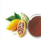 COCOA SEED EXTRACT