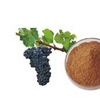 GRAPE VINE EXTRACT