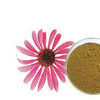 ECHINACEA PURPUREAEXTRACT