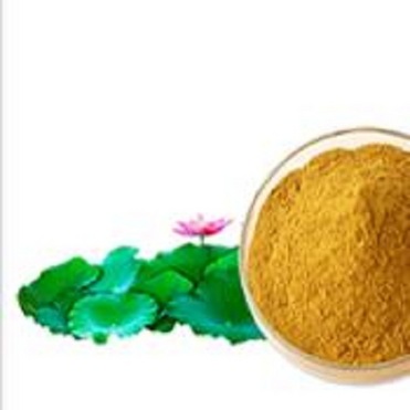 LOTUS LEAF EXTRACT