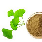 GINKGO BILOBA EXTRACT