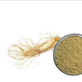 GINSENG EXTRACT