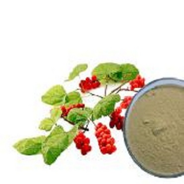 SCHISANDRA EXTRACT