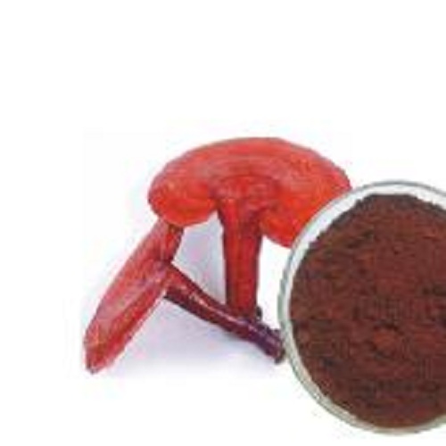 REISHI MUSHROOM EXTRACT