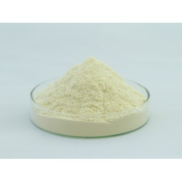 Natural Vitamin E Powder 30%