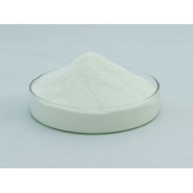 Alage Oil DHA Powder 10%