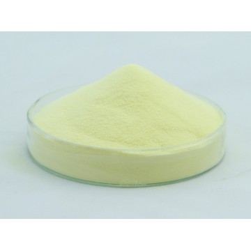 Vitamin A Acetate Powder 500CWS