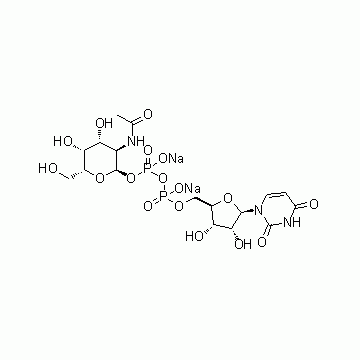 Uridine 5’-(trihydrogen diphosphate) P’-[2-(acetylamino)-2-deoxy-alpha-D-galactopyranosyl] ester dis