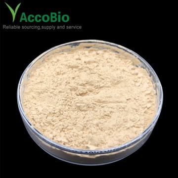 Bacillus Coagulans