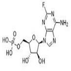 Fludarabine phosphate