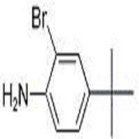 2-bromo-4-tert-butylaniline