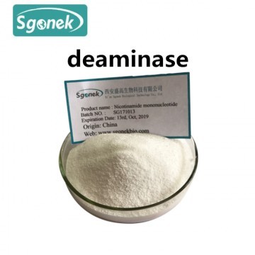 -5'-phosphodiesterase, deaminase