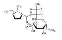 Clindamycin-3-Phosphate