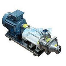 DOUBLE SCREW PARALLEL PUMP