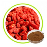  Natural Wolfberry Extract Powder