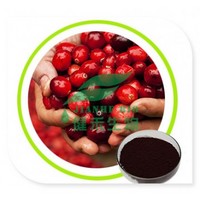 Natural Cranberry Extract Violet-red Powder
