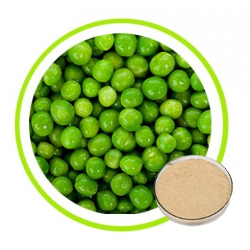 Protein powder of pea