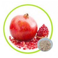 Natural Pomegranate Juice Powder