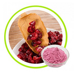 Natural Cranberry Juice Powder