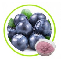 Natural Blueberry juice powder