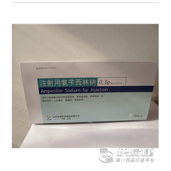 Ampicillin Sodium for Injection