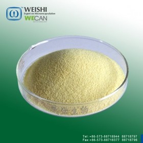 Vitamin A Acetate 500CWS/CWD