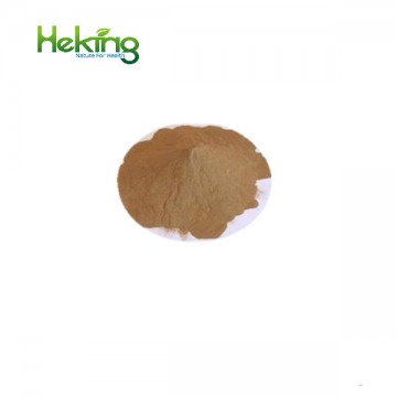 Butterbur herb extract 10:1