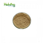 Graviola Fruit Extract /Soursop fruit powder
