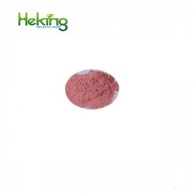 Pure Red Dragon Fruit Powder / Pitaya Powder/Dragon extract