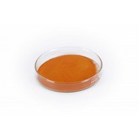 Natural bulk food color beta-carotene 1% powder
