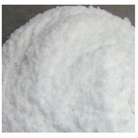 Polyadenosinic acid sodium salt(Poly A)