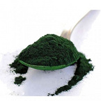 Chlorella