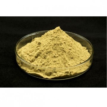 Ursolic acid 25%