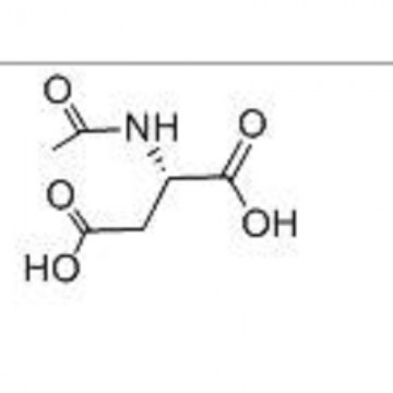N-acetyl-L-aspartic acid
