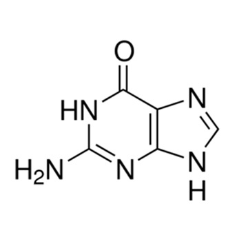 GUANINE